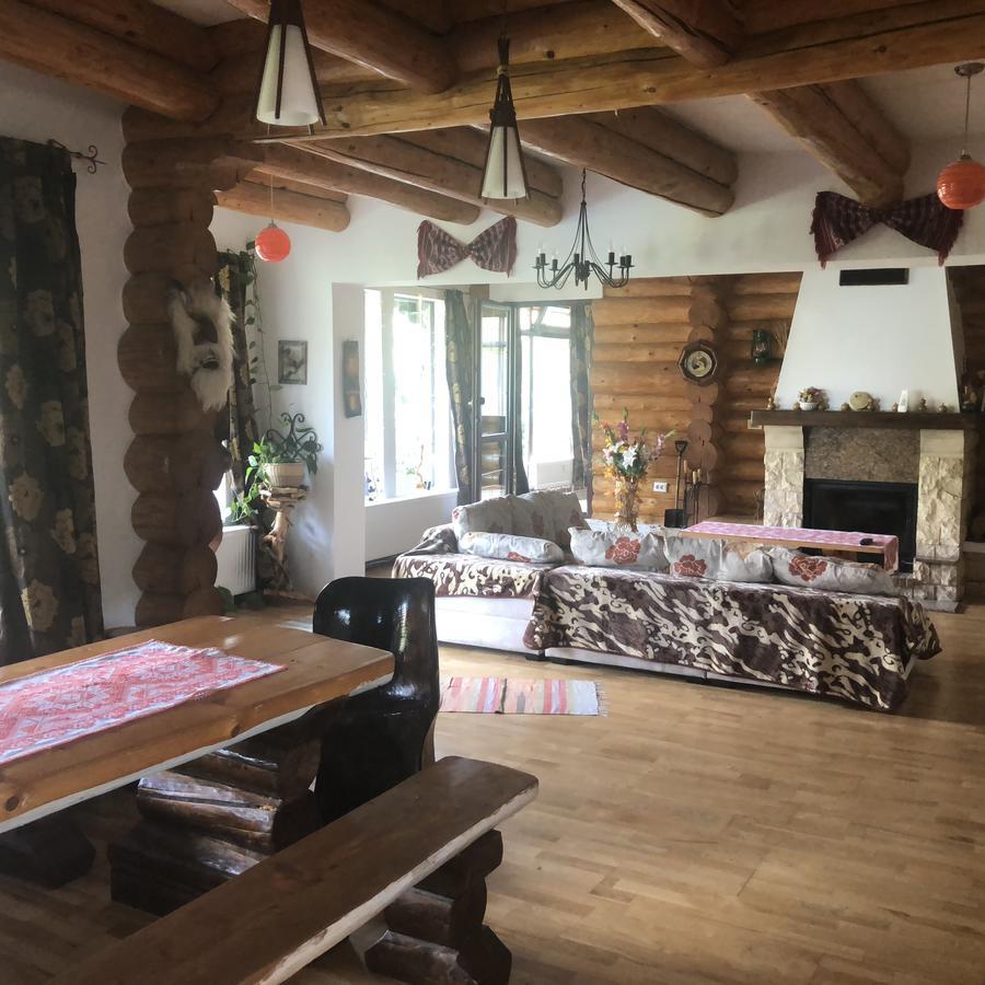 Hot Tub Chalet Retreat Villa Braşov Buitenkant foto