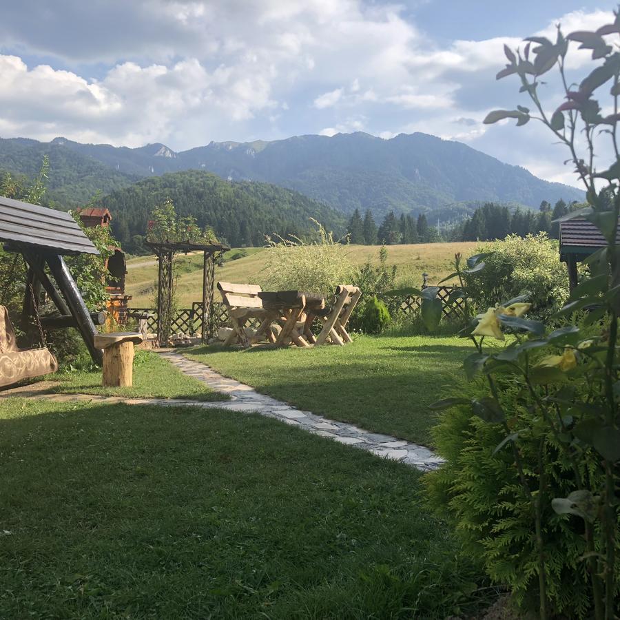 Hot Tub Chalet Retreat Villa Braşov Buitenkant foto