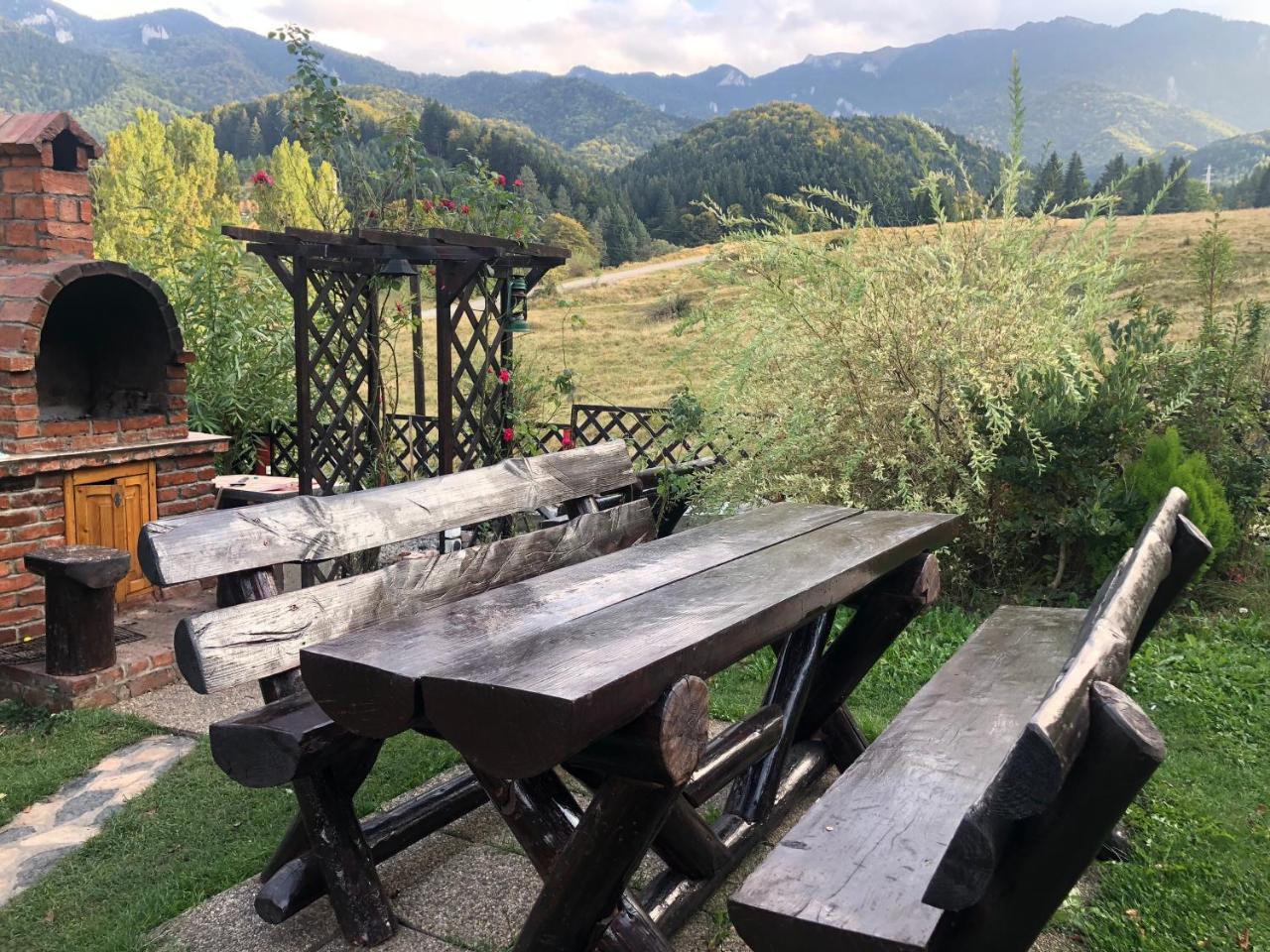 Hot Tub Chalet Retreat Villa Braşov Buitenkant foto